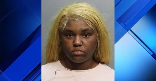 Homestead Woman Charged With Attempted Murder After Stabbing Guest, Police Say