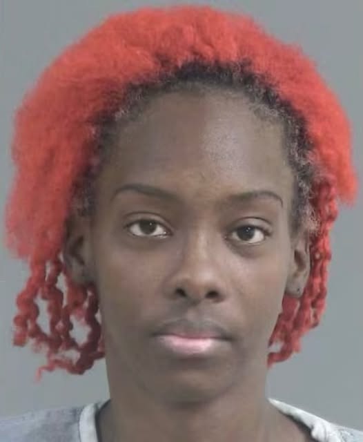 South Carolina Mother Arrested After 11-Month-Old Found Dead in Insect-Infested Apartment